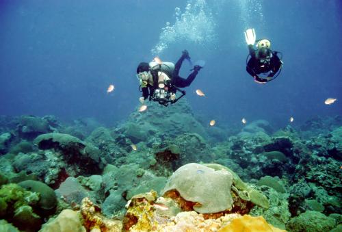 Divers swimming along very healthy live coral cover at East Flower Garden Bank at a depth of about 75 ft. (Photo by Gregory S Boland)
