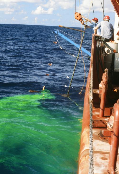 Dye experiments to determine regulations for oil and gas activity discharges to protect Flower Garden Banks. An array of packets of green fluorescein dye (from shark repellant packets on old Navy life vests) were lowered to the sea bed to observe water transport dynamics. Taken September 1977 as part of an early contract from BOEM predecessor- Bureau of Land Management to Texas A&M University. (Photo by Gregory S Boland)