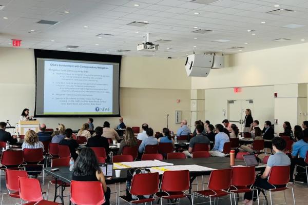 A classroom of people sitting in red chairs are looking at a presentation being displayed from an overhead projector.