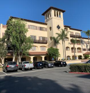 A 4-story southwest style office building with palm trees on the sidewalk between the sidewalk and the building.