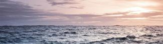 Ocean Sunset banner