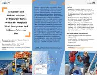 Movement and Habitat factsheet thumbnail