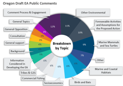 Draft EA Comment pie chart
