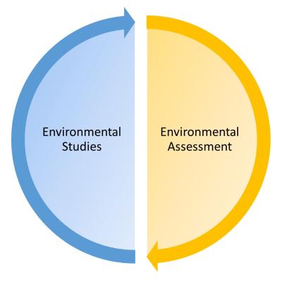 Environmental Studies and Assessment logo