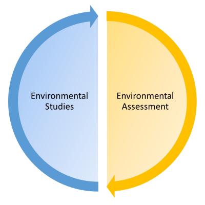 Environmental Studies and Assessment logo