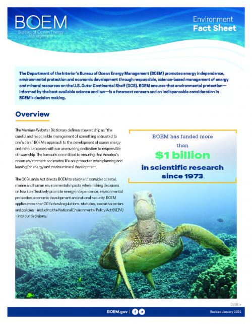 BOEM Environment Factsheet