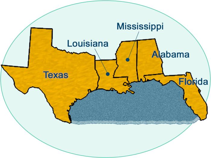 Stylized graphic of a map of the Gulf of Mexico states surrounded by an approximation of the OCS boundary for that BOEM region.