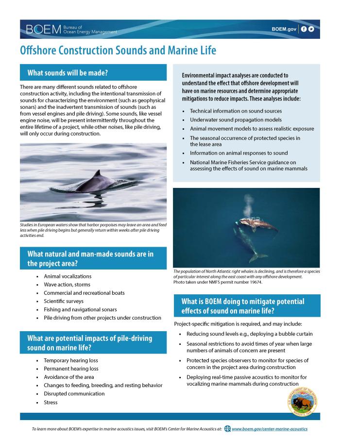 Handout for Offshore Construction Sounds Marine Life