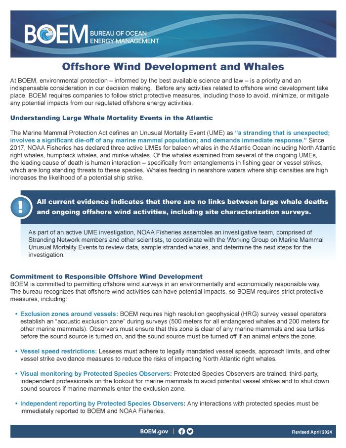 Offshore Wind Development and Whales (May 2024)_Page_1