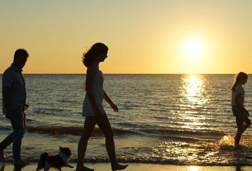 On the beach a family is making a beautiful silhouette walk during the sunset or sunrise