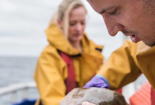 Research scientists measuring fish on research ship