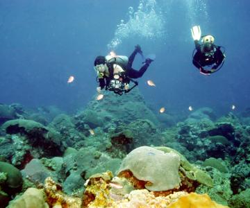 Divers swimming along very healthy live coral cover at East Flower Garden Bank at a depth of about 75 ft. (Photo by Gregory S Boland)