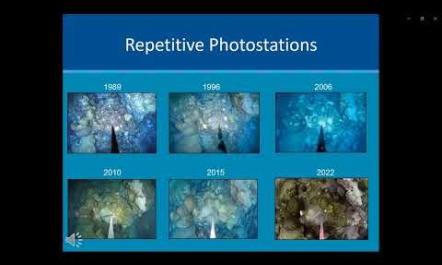 BOEM GoM ITM September 2022 Fish Habitats Coral Reef Monitoring