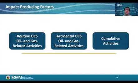 The Gulf Draft Programmatic EIS Overview 1 16 2025