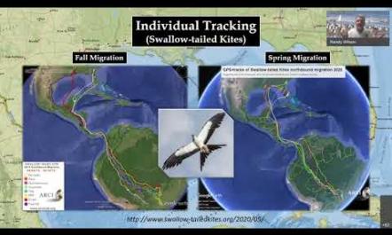 18  USFWS Migratory Birds   Randy Wilson