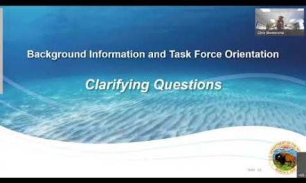 06  Background Information and Task Force Orientation  Clarifying Questions