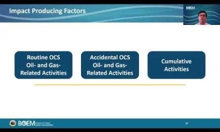 The Gulf Draft Programmatic EIS Overview 1 15 2025