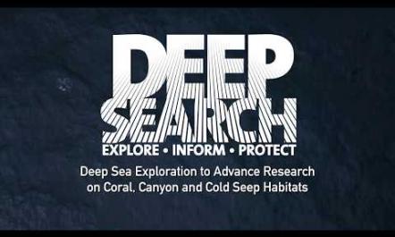 The DEEP SEARCH Study