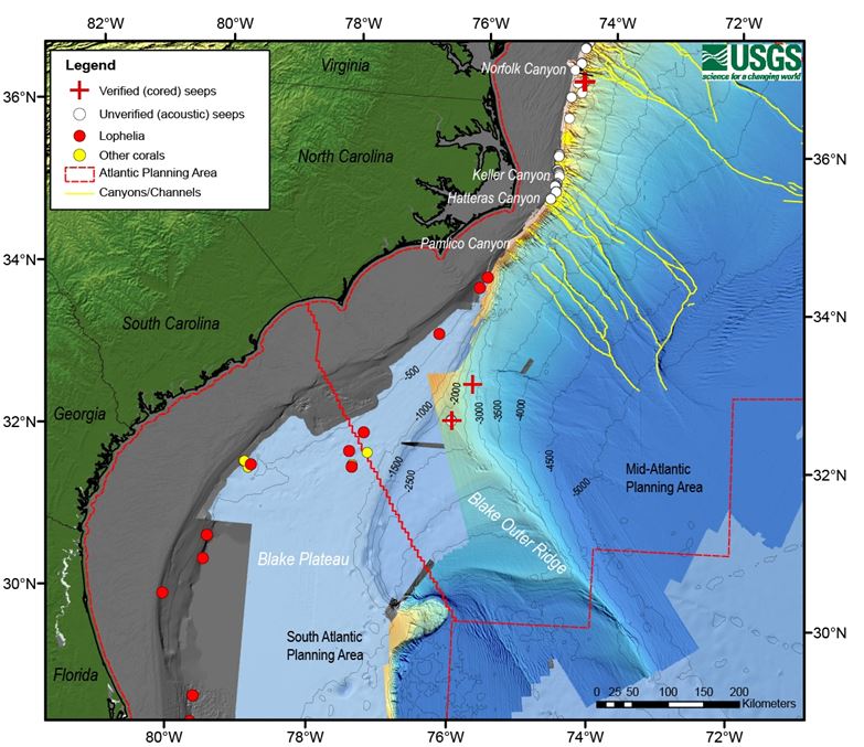 Deep Search study map