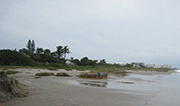 Cocoa Beach after Hurricane Sandy, October 2012 – Photo: Paula Berntson,  Brevard County Natural Resources Management Department