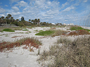 Cocoa Beach before Hurricane Sandy, March 2010 – Photo: Paula Berntson,  Brevard County Natural Resources Management Department